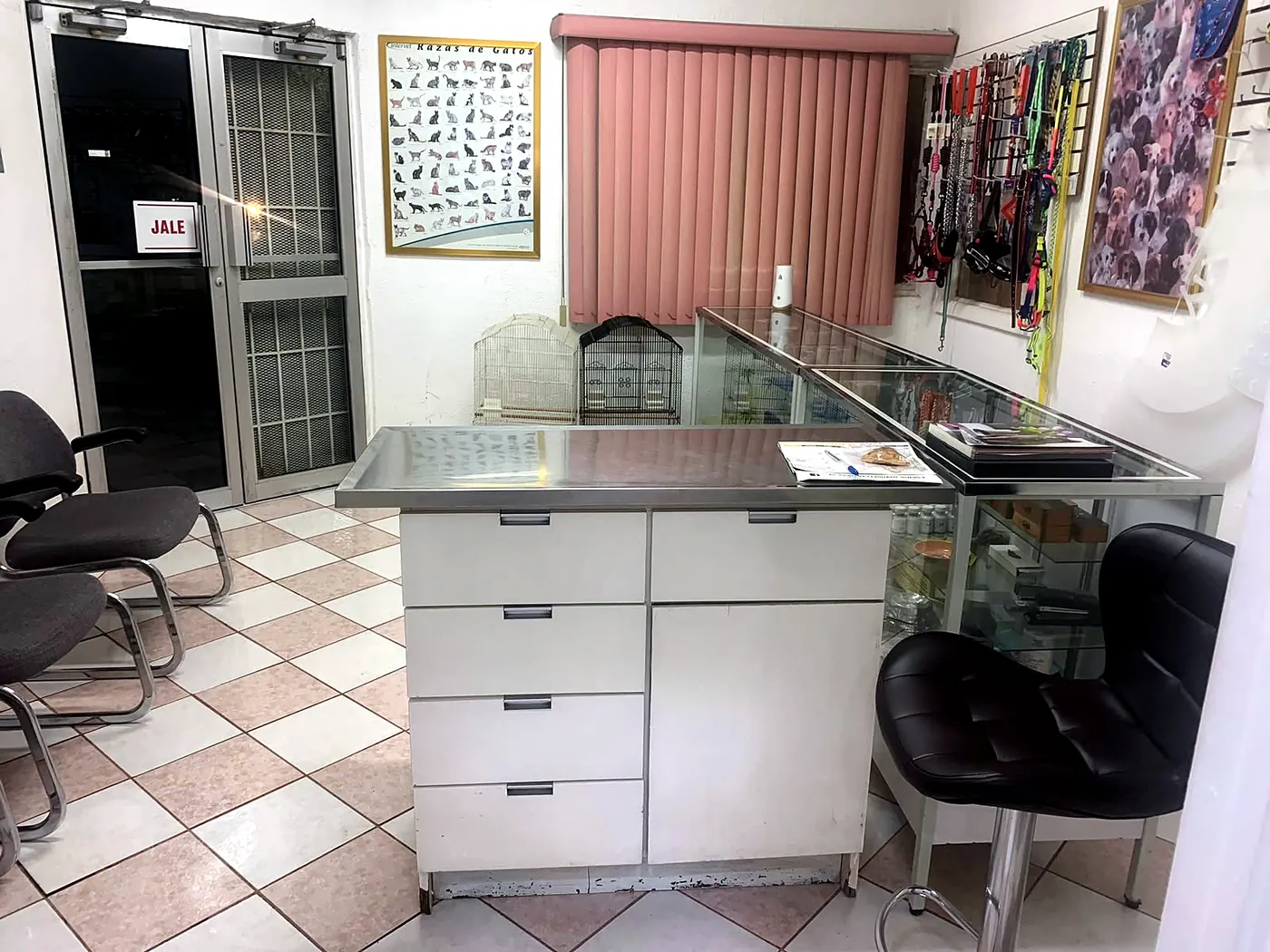 Mostrador de la clínica con vitrinas de cristal y pared de correas y collares